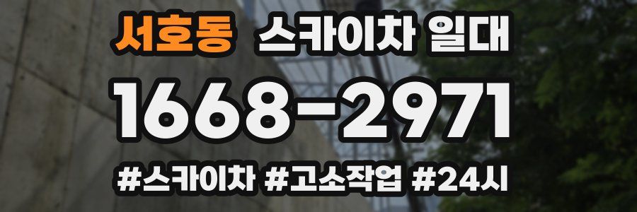 서호동 스카이차 일대