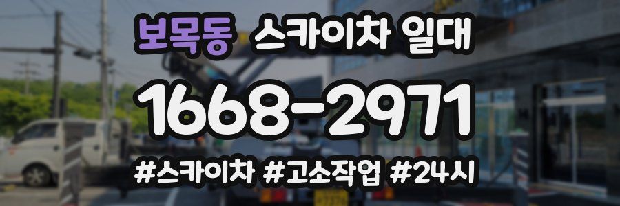 보목동 스카이차 일대
