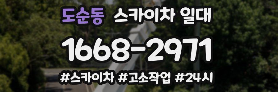 도순동 스카이차 일대