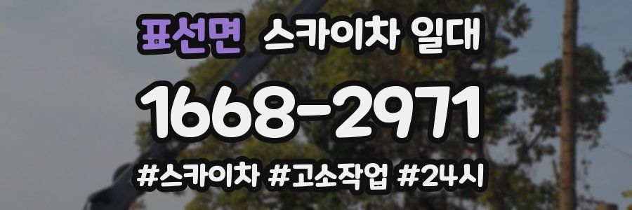 표선면 스카이차 일대