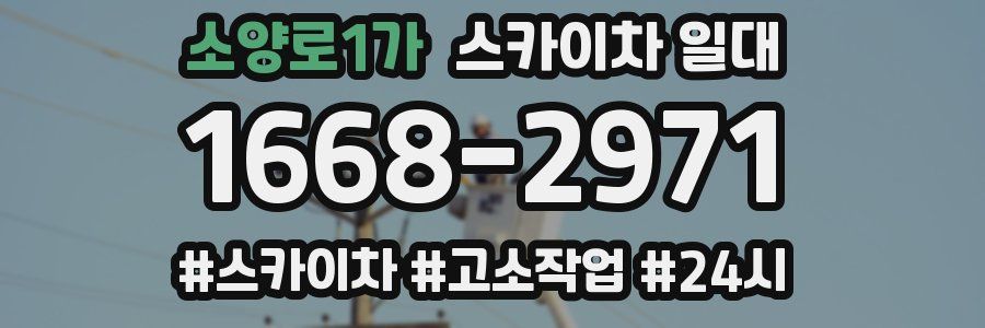 소양로1가 스카이차 일대