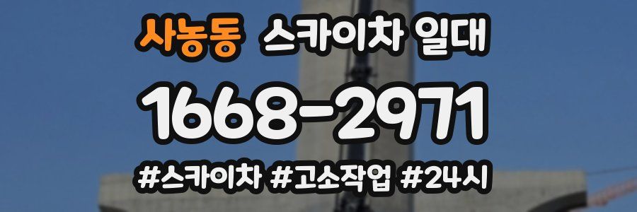 사농동 스카이차 일대