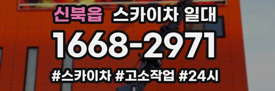 신북읍 스카이차 일대