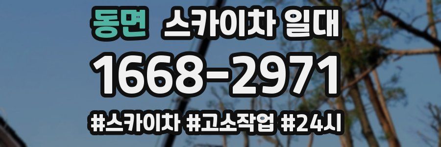동면 스카이차 일대