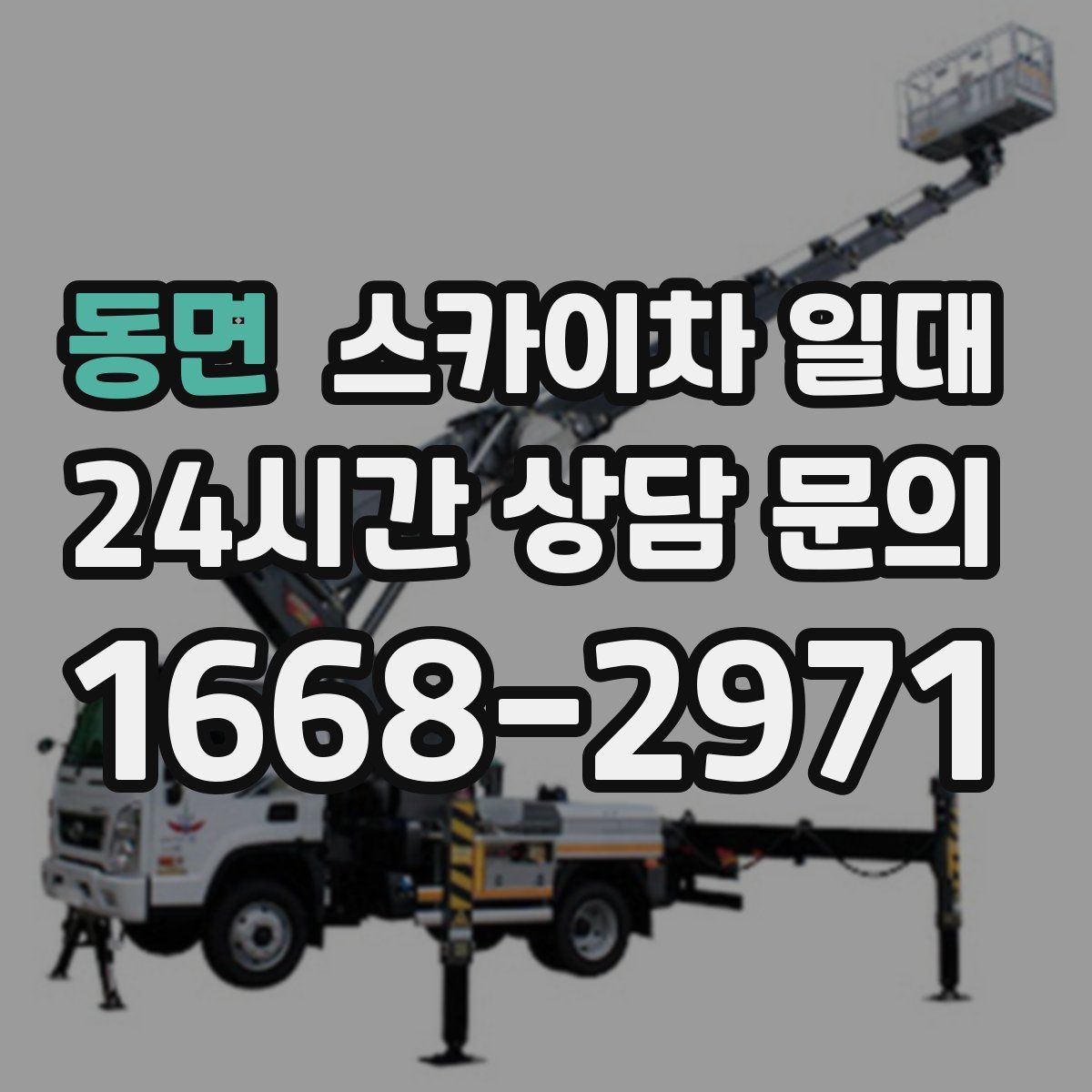 동면 스카이차 일대