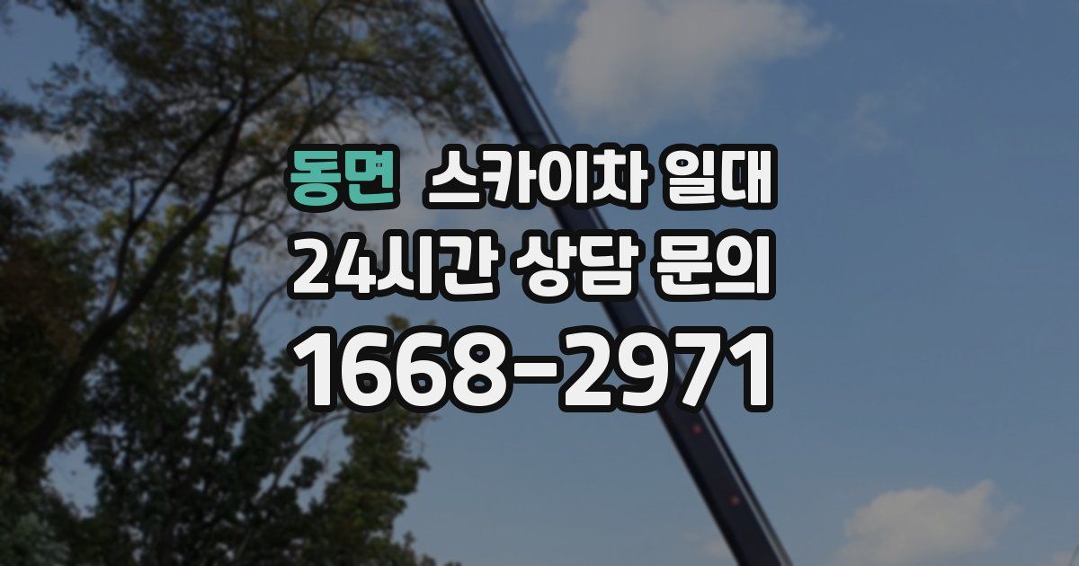 동면 스카이차 일대