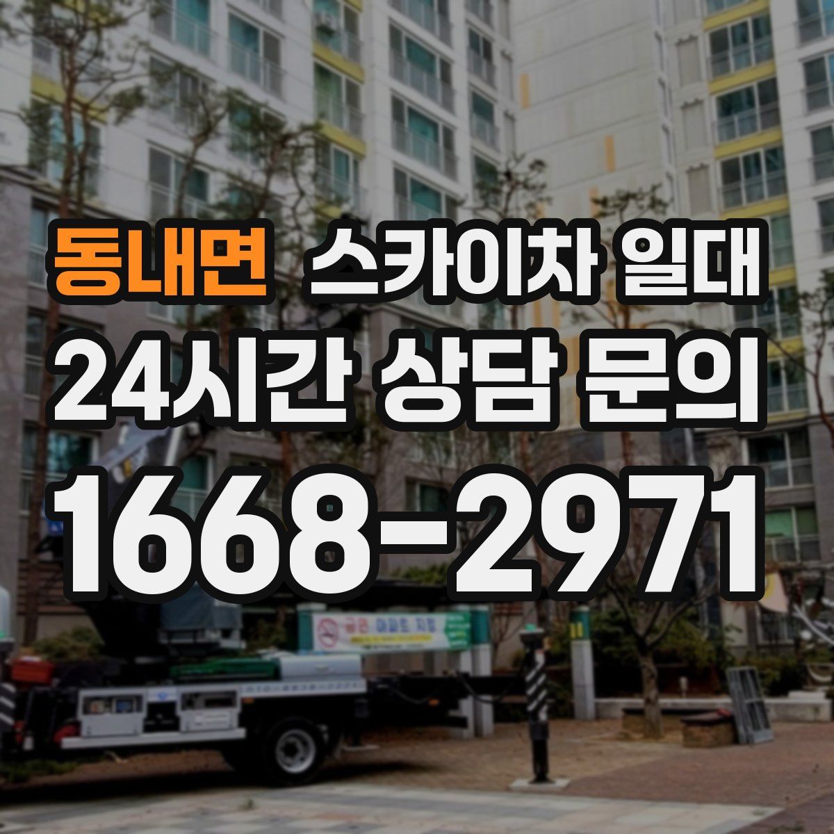 동내면 스카이차 일대