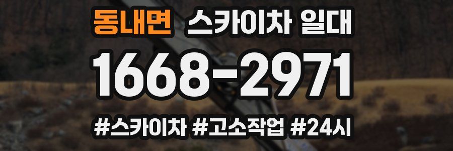 동내면 스카이차 일대