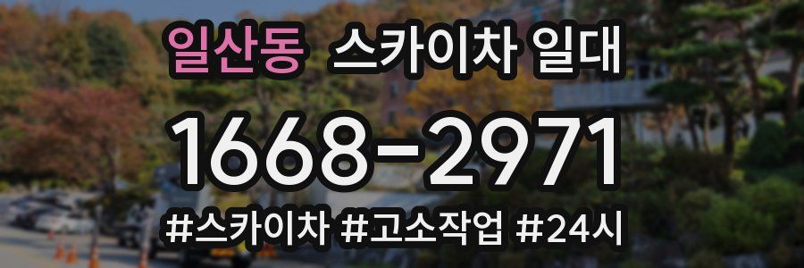 일산동 스카이차 일대