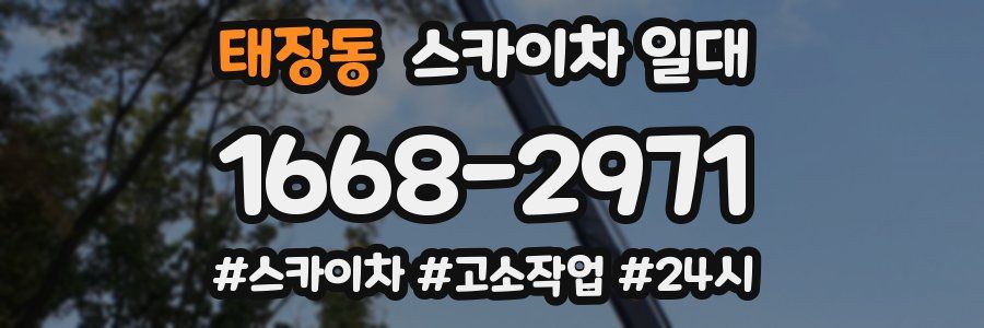 태장동 스카이차 일대