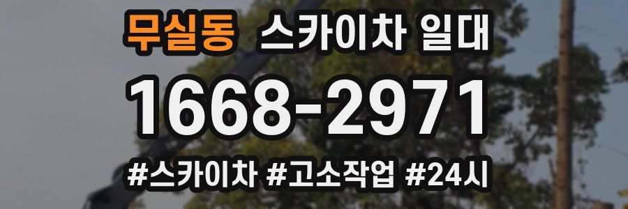 무실동 스카이차 일대