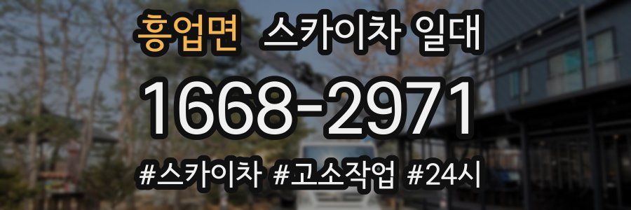 흥업면 스카이차 일대