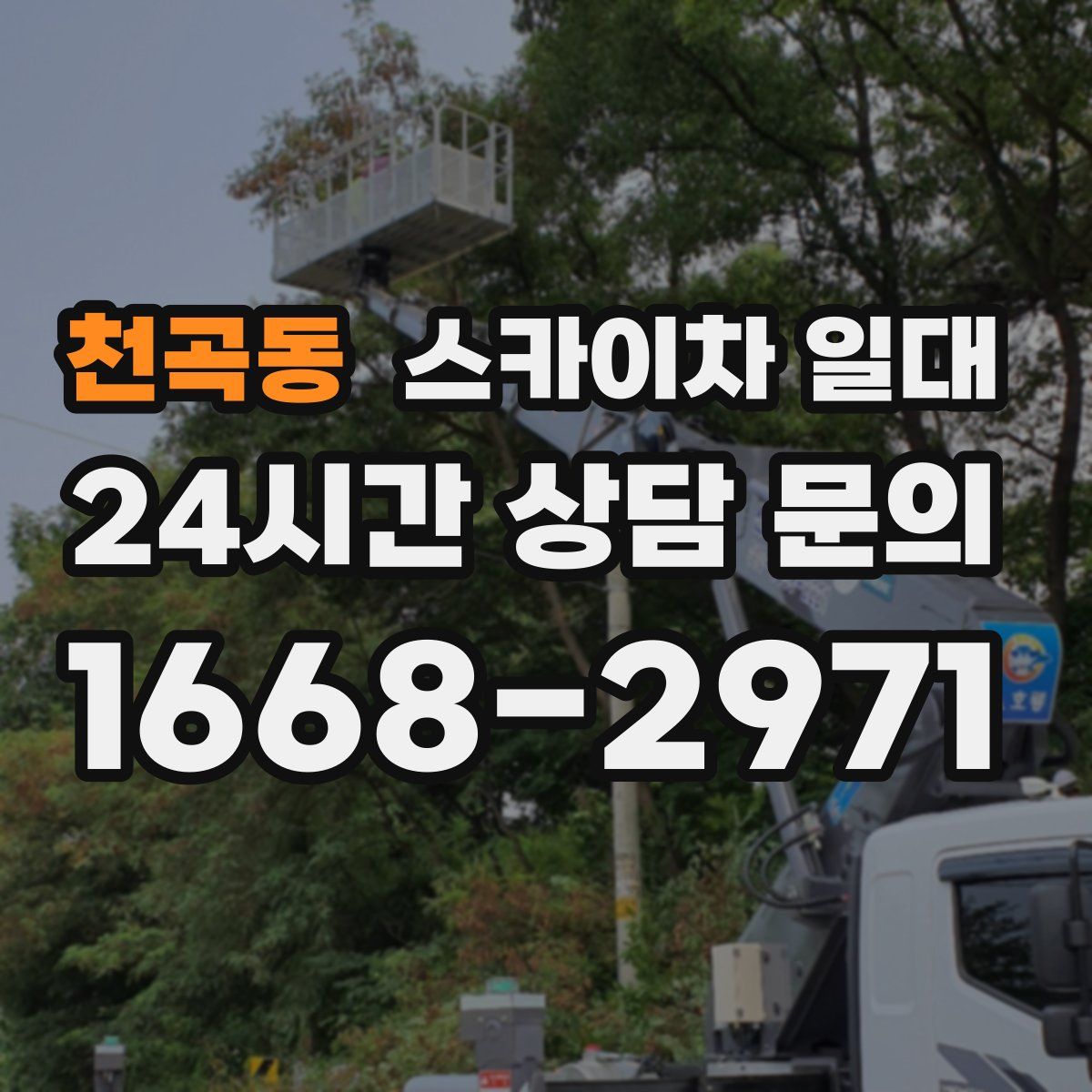 천곡동 스카이차 일대