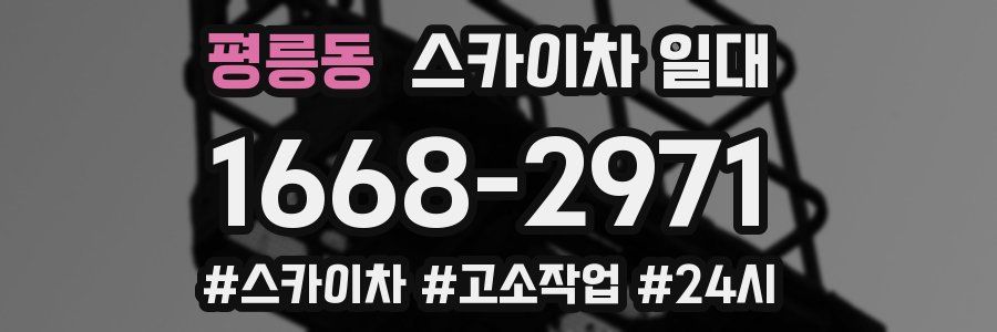 평릉동 스카이차 일대