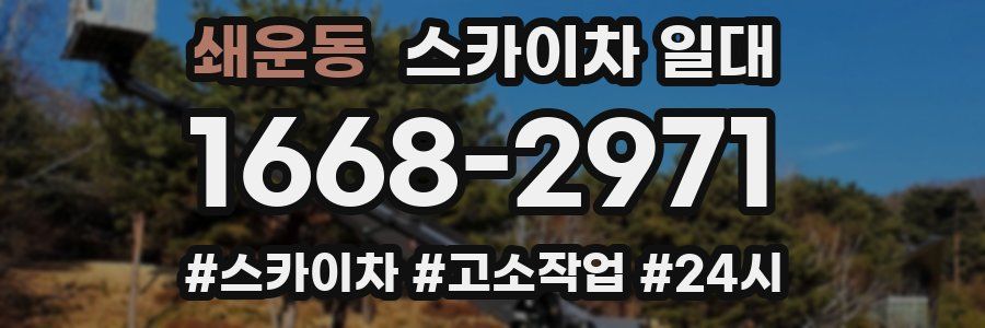 쇄운동 스카이차 일대
