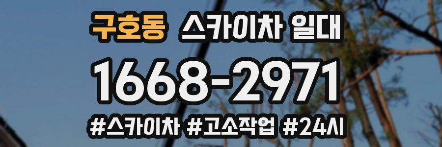 구호동 스카이차 일대