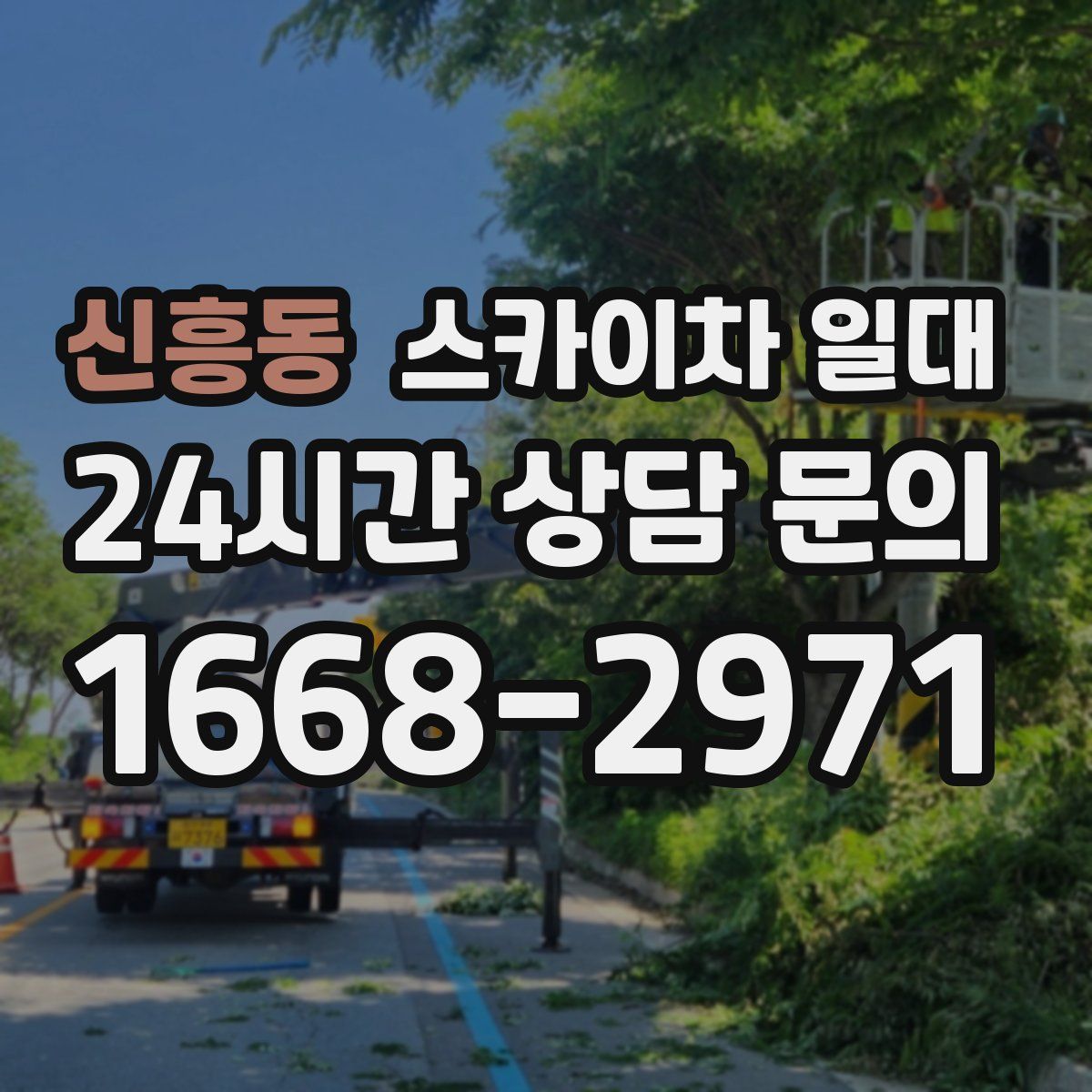 신흥동 스카이차 일대