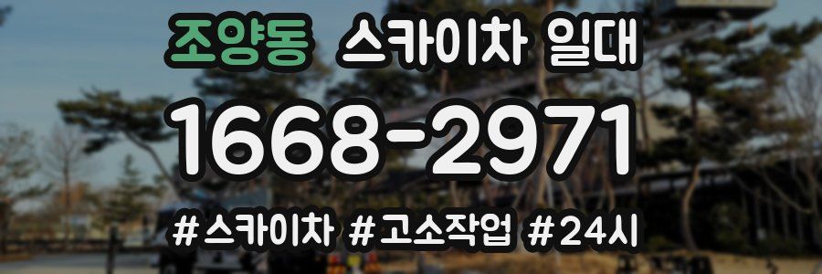 조양동 스카이차 일대