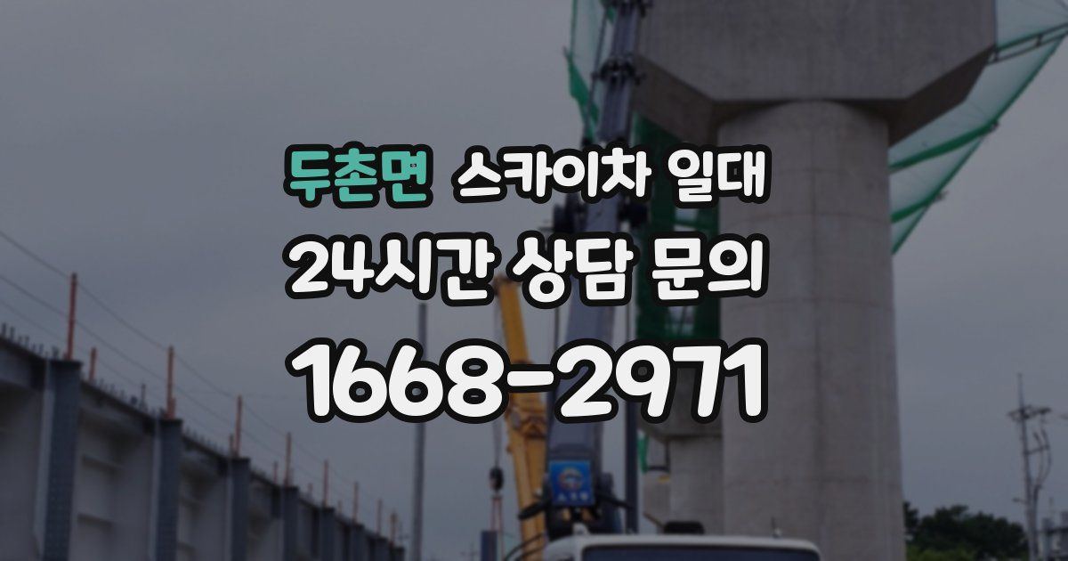 두촌면 스카이차 일대
