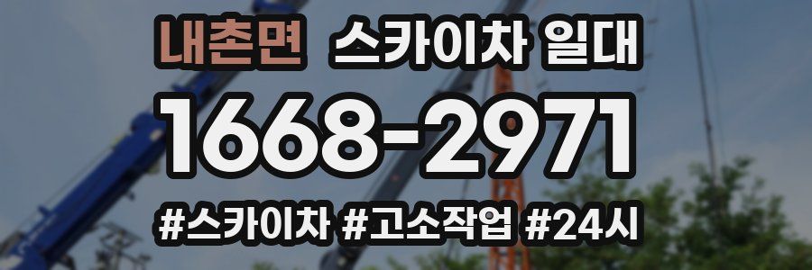 내촌면 스카이차 일대
