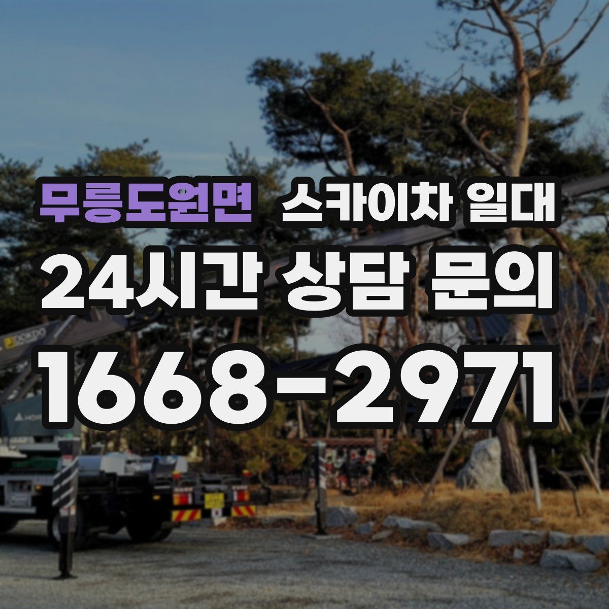 무릉도원면 스카이차 일대