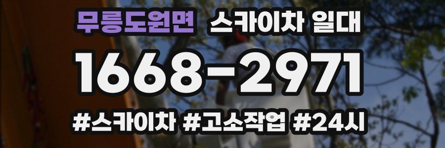 무릉도원면 스카이차 일대