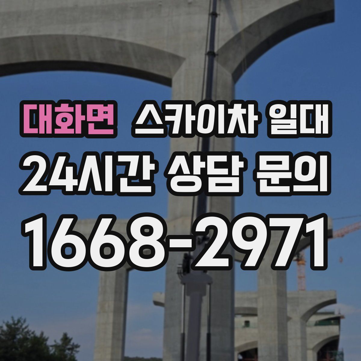 대화면 스카이차 일대