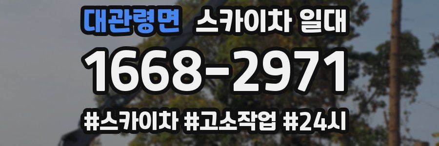 대관령면 스카이차 일대
