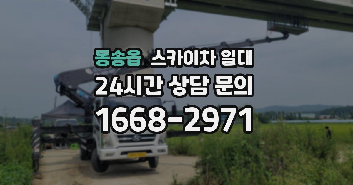 동송읍 스카이차 일대