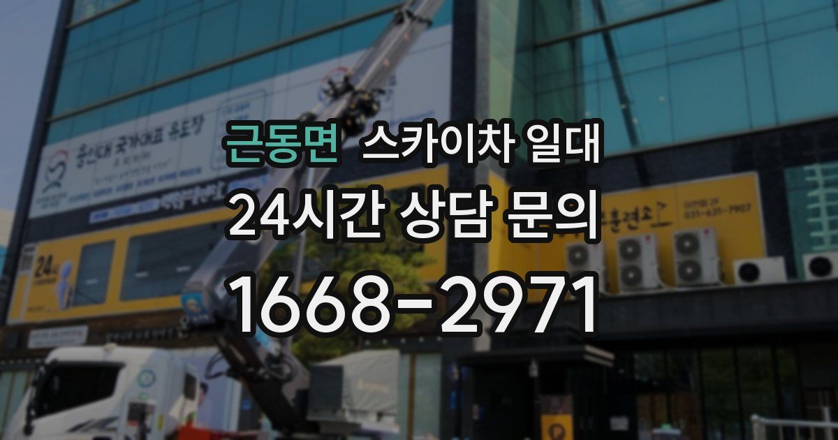 근동면 스카이차 일대