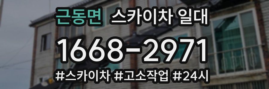 근동면 스카이차 일대