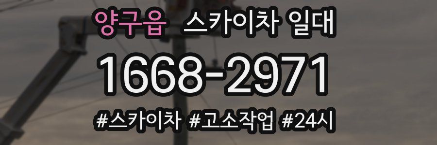양구읍 스카이차 일대
