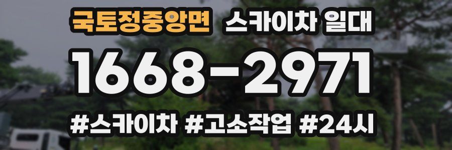 국토정중앙면 스카이차 일대