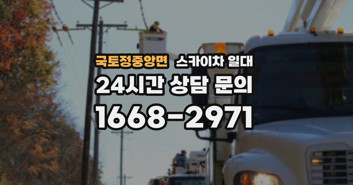 국토정중앙면 스카이차 일대