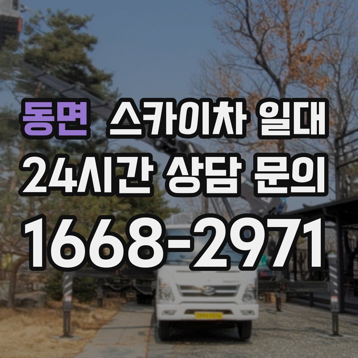 동면 스카이차 일대