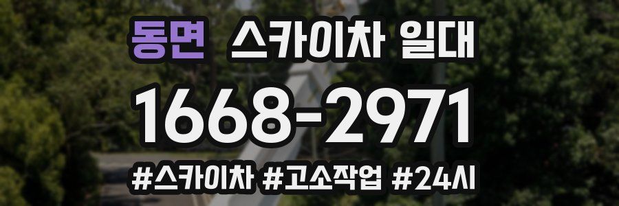 동면 스카이차 일대