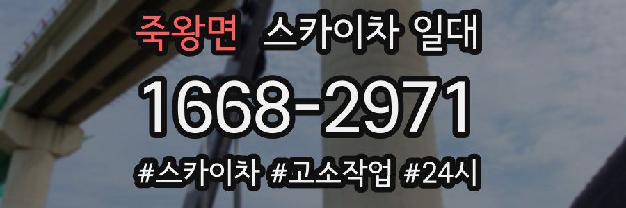죽왕면 스카이차 일대
