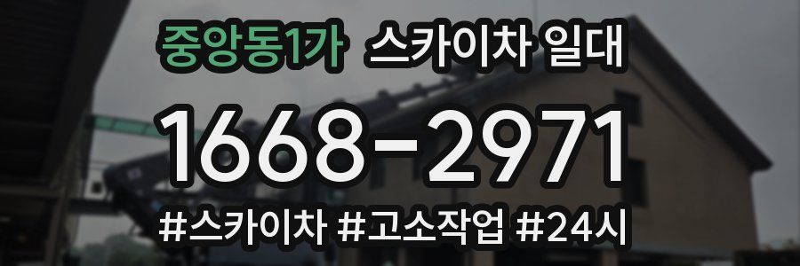 중앙동1가 스카이차 일대