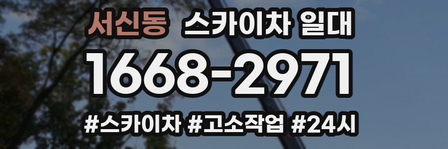 서신동 스카이차 일대