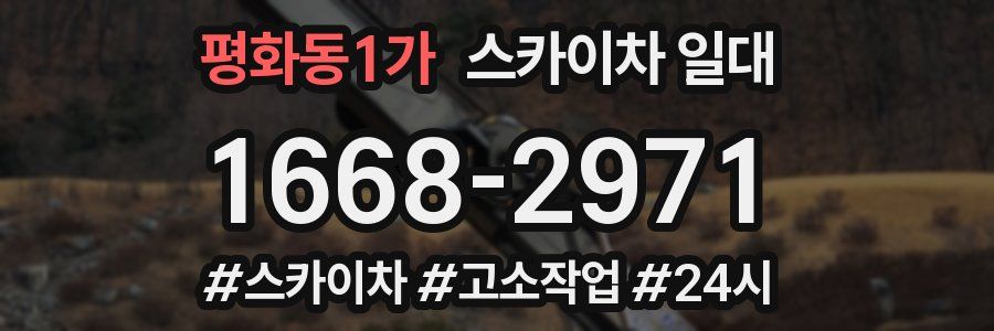 평화동1가 스카이차 일대