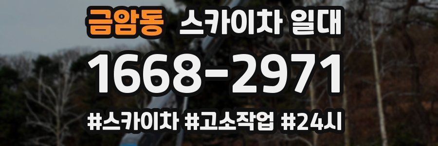 금암동 스카이차 일대