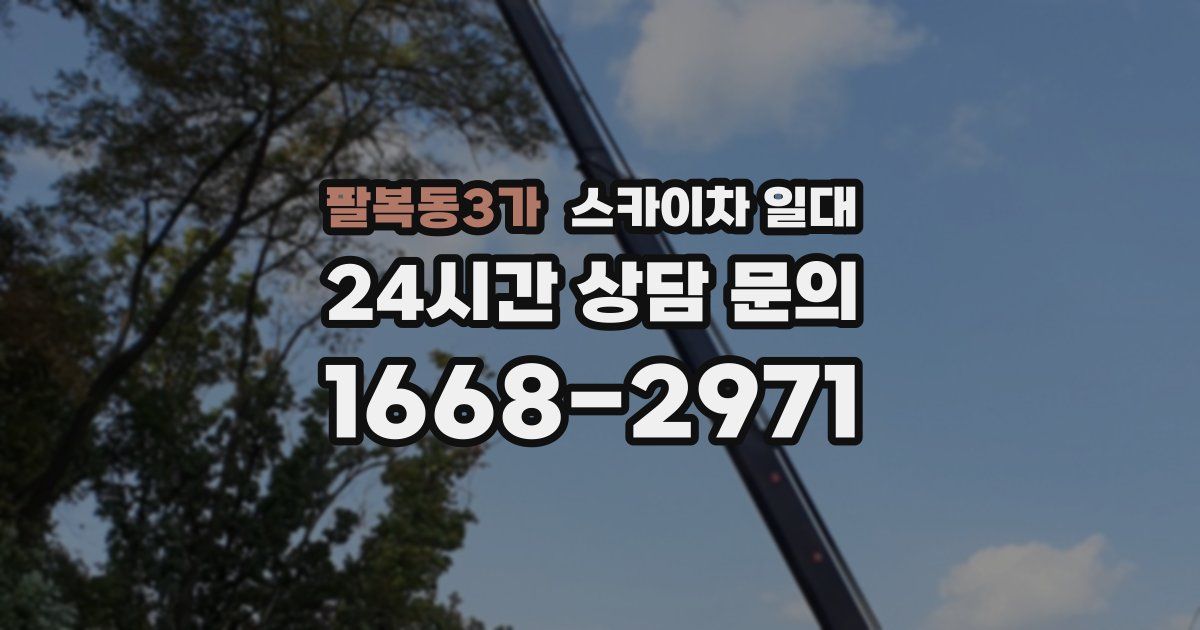 팔복동3가 스카이차 일대