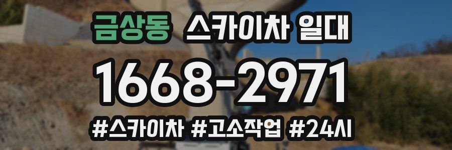 금상동 스카이차 일대