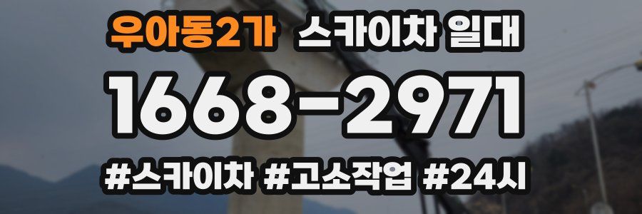 우아동2가 스카이차 일대