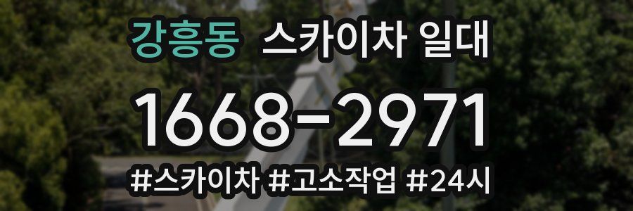 강흥동 스카이차 일대