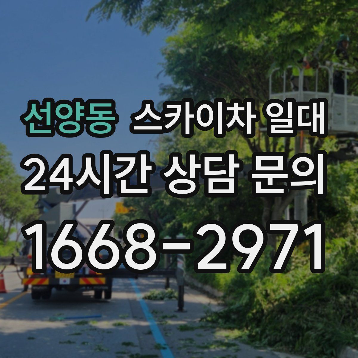 선양동 스카이차 일대