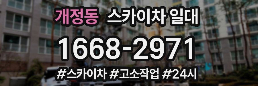개정동 스카이차 일대