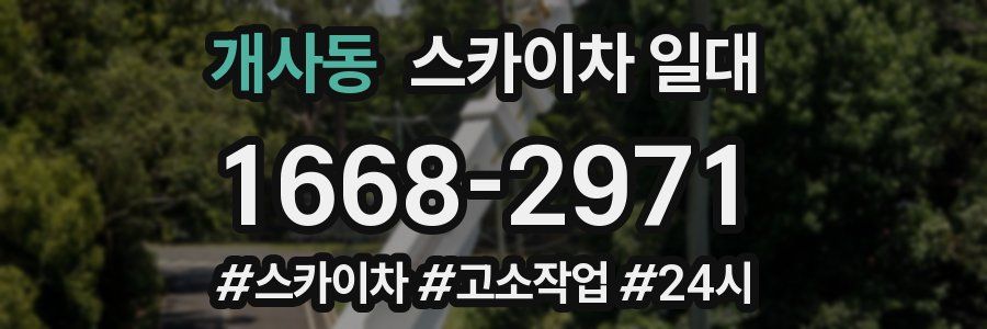 개사동 스카이차 일대