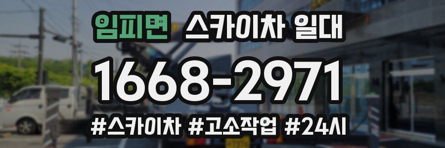 임피면 스카이차 일대