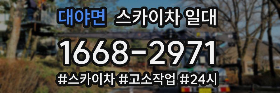 대야면 스카이차 일대